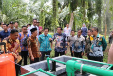 Pemkab Kaur Sulap Sampah Jadi Abu Ramah Lingkungan