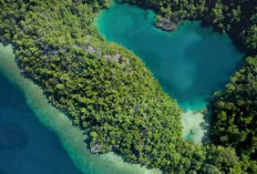  Pulau Sombori, Surga Tersembunyi di Morowali, Bisa Bikin pengunjung Terbuai