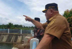 Tindak Lanjuti Aspirasi Warga Guna Mendukung Ketahanan Pangan, Bupati Pantau Debit Air Tebat Gelumpai