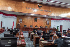 DPRD Kaur Pastikan Raperda Hewan Ternak Disusun Lebih Baik