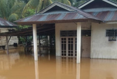 BREAKING NEWS! 5 Desa Dilanda Banjir, Puluhan Unit Rumah Terendam