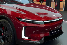 Tesla Model Q 2026: Crossover Kompak Futuristik yang Siap Guncang Pasar