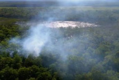 Taman Nasional Wasur, Hamparan Sabana Terluas di Indonesia Bahkan se-Asia