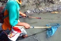 Satpoldam Bakal Lidik Pelalu Menyetrum Ikan di Bengkulu Selatan