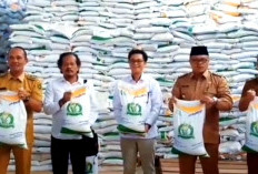 DKP Bengkulu Selatan Mengecek Stok Beras Bapang