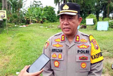 142 Desa di Bengkulu Selatan Ikuti Lomba Satu Desa Satu Hektar Jagung
