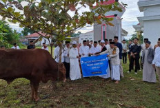 Bupati Seluma Serahkan Hewan Kurban Presiden Usai Salat Idul Adha