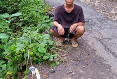 Rusak dan Menyempit, Warga Lubuk Sandi Usulkan Perbaikan Jalan Kecamatan