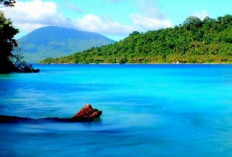 Pulau Sebuku, Spot Menyelam Terindah Di Lampung Selatan, Pemandangan Bawah Lautnya Mempesona