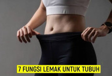 Sering Dianggap Berbahaya Bagi Kesehatan, Ternyata LEmak Punya Banyak Manfaat Untuk Tubuh! 