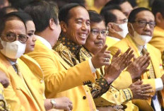 Jokowi Dikabarkan Gabung Ke Golkar, JK: Jadi Ketua Harus 5 Tahun Masuk
