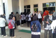 Seleksi PPPK Tahap II Di Kabupaten Seluma Belum Jelas, Tenaga Honorer Tetap Menunggu
