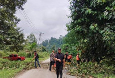 Jambat Air Kandis Langganan Longsor, BPBD Ingatkan Warga Waspada