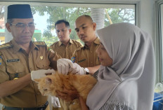 Bengkulu Siapkan 1.000 Dosis Vaksin Rabies