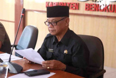 Ini Saran DPRD Bengkulu Selatan untuk Mencegah Kebocoran PAD