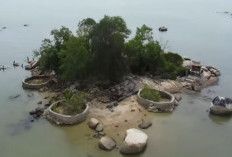 Pulau Terkecil Di Dunia, Ternyata Ada Di Indonesia, Sudah Diakui PBB, Ini Nama Pulaunya