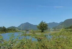 Danau Terusan Kamang, Danau Unik Di Sumatera, Airnya Bisa Muncul dan Hilang, Ini Faktanya