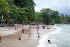 Pantai Guci Batu Kapal, Wisata Pantai yang Sangat Alami di Lampung Selatan