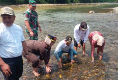 Launching Lubuk Larangan, Gusnan Tebar Ratusan Ekor Bibit Ikan Emas