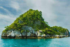 Keindahan Pulau Molana di Maluku, Spot menyelam Terbaik, Pemandangan Bawah Lautnya Gila Abis