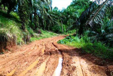 Warga Desa Suban Nantikan Akses Jalan Mulus