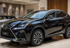 Lexus NX 2026, SUV Premium dan Agresif, Dilengkapi Fitur Canggih, Cocok Untuk Kendaraan Keluarga