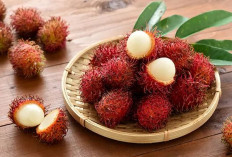 Kandungan Nutrisi dan Manfaat Buah Rambutan untuk Kesehatan