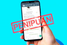 Sudah Sering Terjadi, Tapi Penipu di Media Sosial Masih Berhasil Kecoh Korban, Kok Bisa?