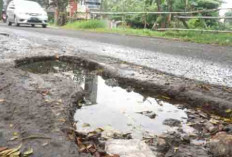 Angkutan Kendaraan Terlalu Berat Sebabkan Jalan Cepat Rusak