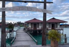 Penginapan Murah di Pulau Derawan, Info Lengkap, Fasilitas dan Harga