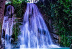 Air Terjun Randusari: Harga Tiket, Daya Tarik , Fasilitas dan Lokasi