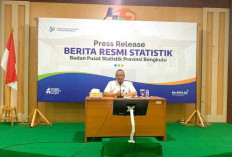 Angka Pengangguran Terbuka di Bengkulu Turun  0,31 Persen