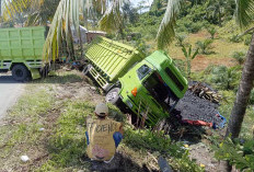 Truk Terperosok ke Jurang, Alhamdulillah, Sopir dan Kernet Berhasil Selamat