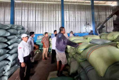 Pastikan Stabilitas Pangan, Pantau RMU di Sejumlah Wilayah