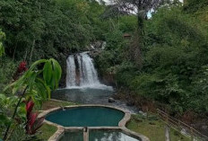 Pesona Alam Air Terjun Babak Pelangi di Lombok Tengah, Berada Di Tengah Hutan, Ada Kolam Angka Delapan