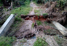 Masyarakat Desa Gindo Suli Mengharapkan Perbaikan Jembatan Air Betelang
