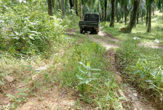 JSP Cugung Randau Rusak Total, Padahal Fungsinya Vital