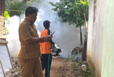 Musim Penghujan Datang, Dinkes Kaur Ingatkan Masyarakat Waspada DBD