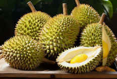 Cara Aman Konsumsi Buah Durian Bagi Penderita Asam Lambung, Dijamin Tidak Kambuh