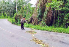Senggol Kijang, Pengendara Sonic Meninggal di TKP