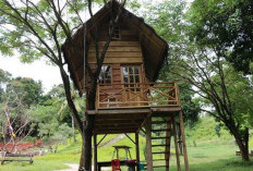 Rumah Alam Manado Adventure Park, Solusi Liburan Nyaman Bersama Keluarga