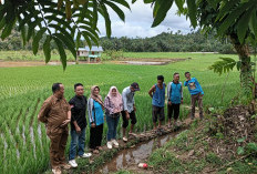 Desa Suka Bandung Gelar Survei Fisik untuk Pembangunan 2026