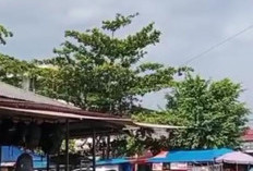 Pembeli Sepi, Pedagang  Merasa Pasar Ampera Dikucilkan