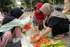 Pasca Lebaran, Harga Cabai di Seluma Masih Saja 
