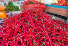 Harga Cabai Merah Nyungsep Jadi Rp18 Ribu Sekilo