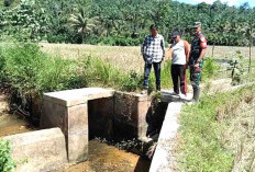 Perkuat Ketahanan Pangan, Dandim 0408 BSK Siap Terjunkan Babinsa Bantu Masyarakat