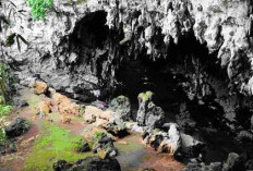 Goa Braholo, Jejak Manusia Pra Sejarah Di Gunung Kidul Yogyakarta