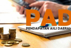 PAD Tak Tercapai Dewan Minta Bupati Seluma Evaluasi Bapenda