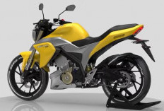 Suzuki Thunder 150 Hadir, Motor Sport Naked Terganas Dikelasnya, Tampilan Sporty, Teknologi Canggih