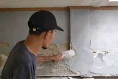 Dinding Rumah Jamuran? Jangan Biarkan! Ini Bahaya Tembok Berjamur Bagi Kesehatan